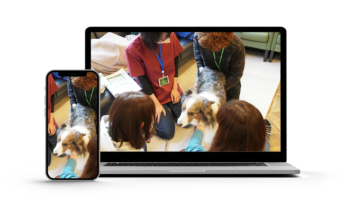 パソコンとスマホ画面の写真